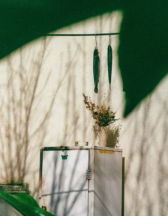 Hawara — photo 21