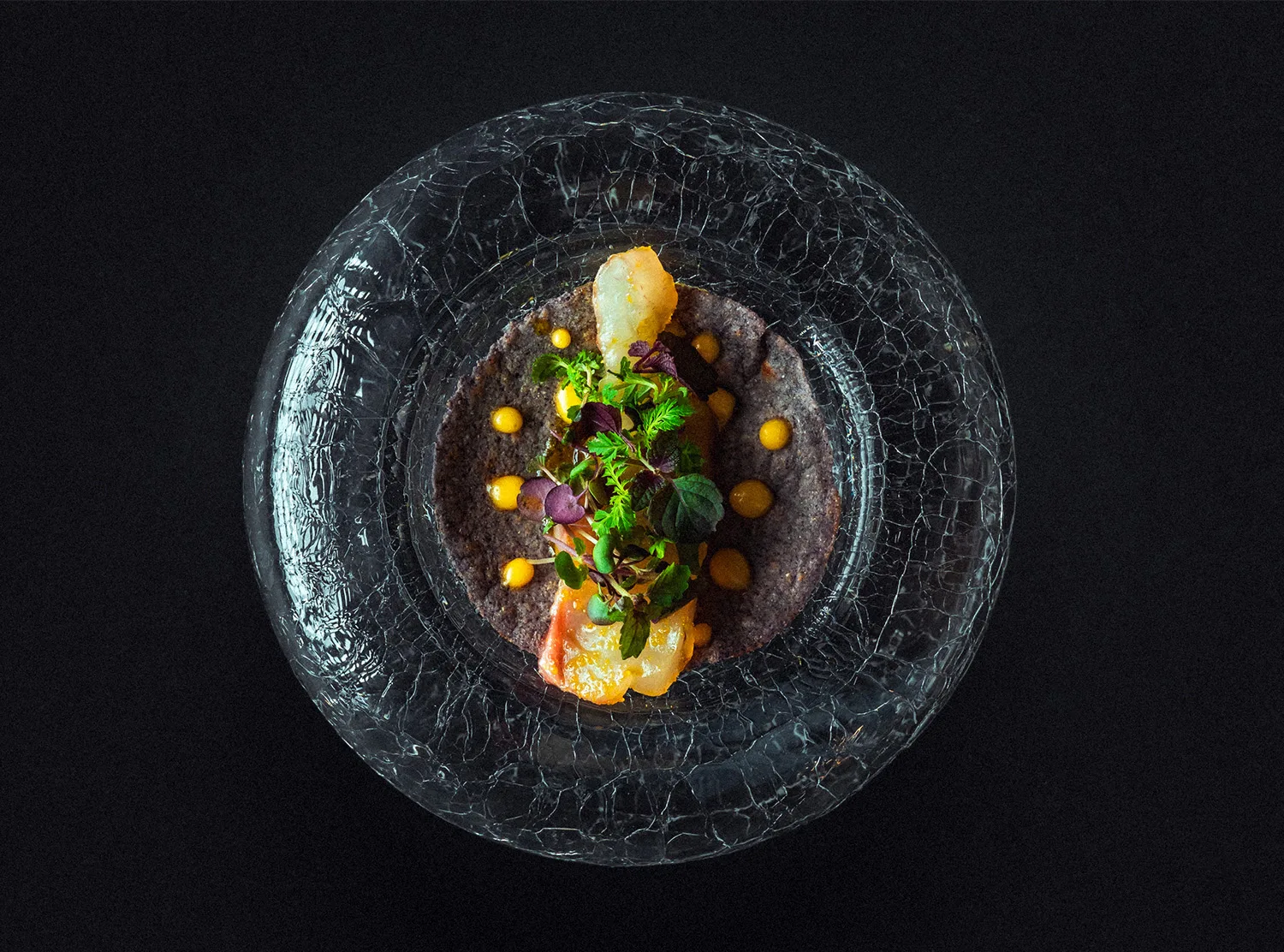 Tuna by Martin Gimenez Castro — photo 24