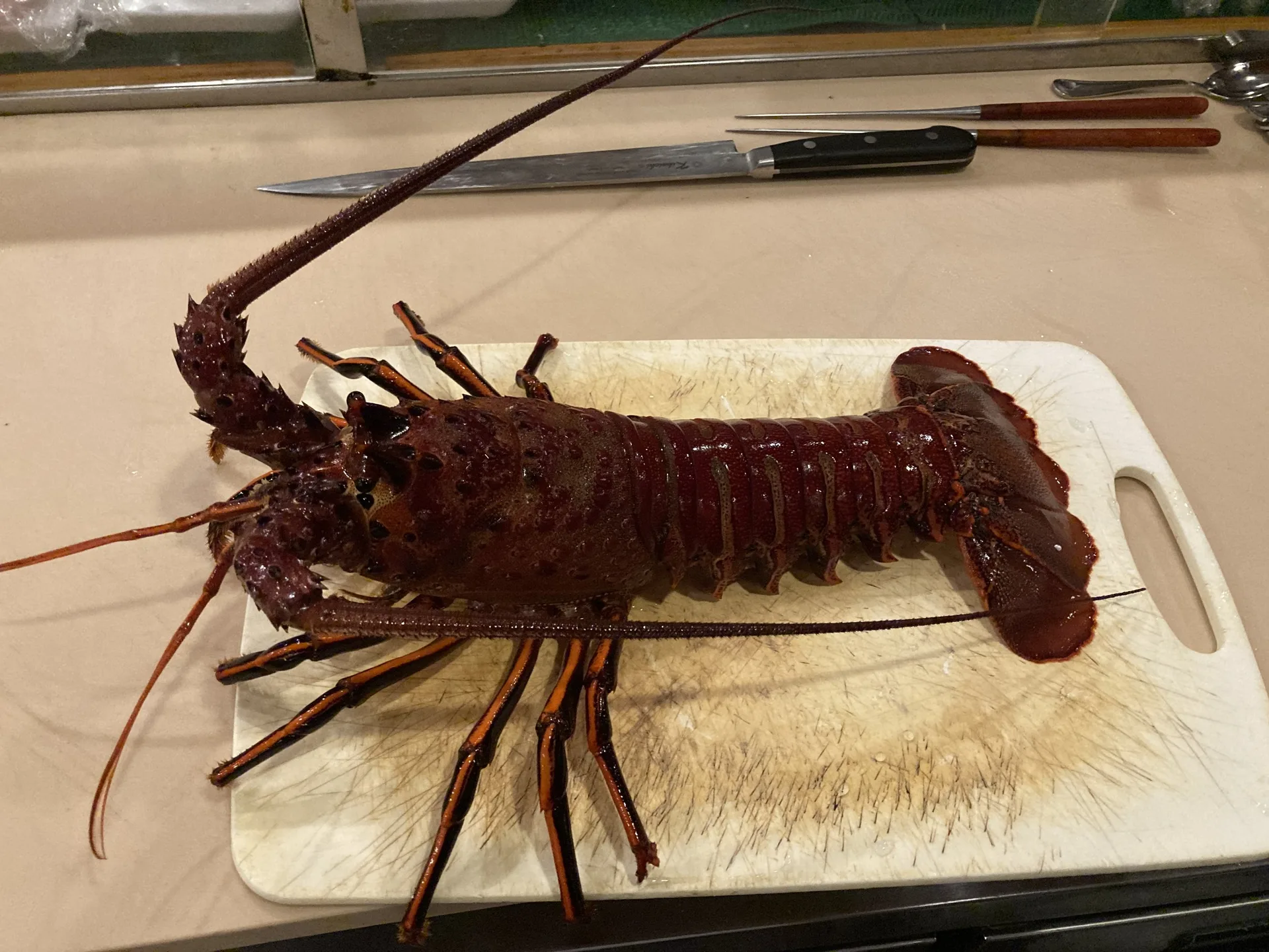 Koi Japanese Cuisine — photo 61