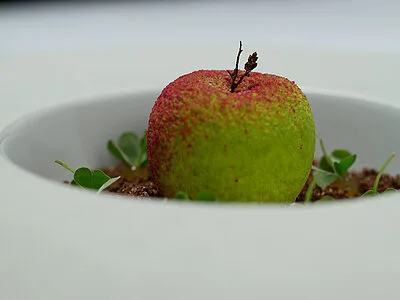 Zur goldenen Birn — food