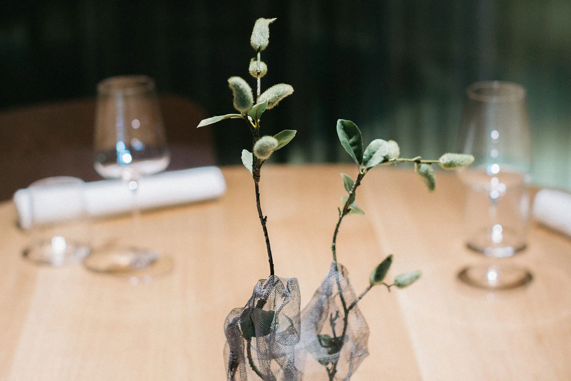 La Finca — photo 31