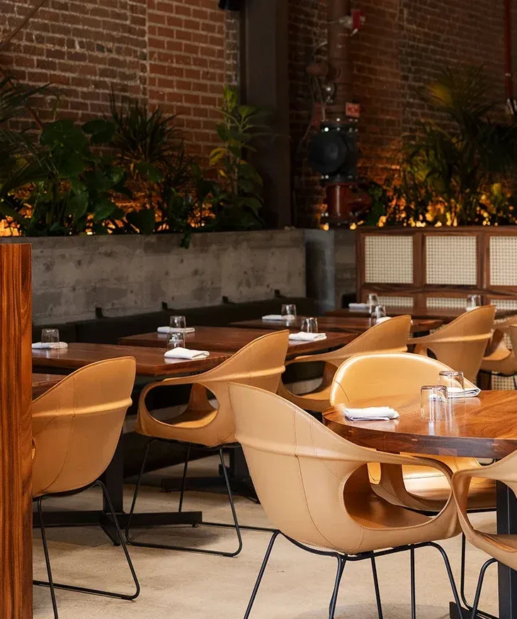 Cosme — atmosphere