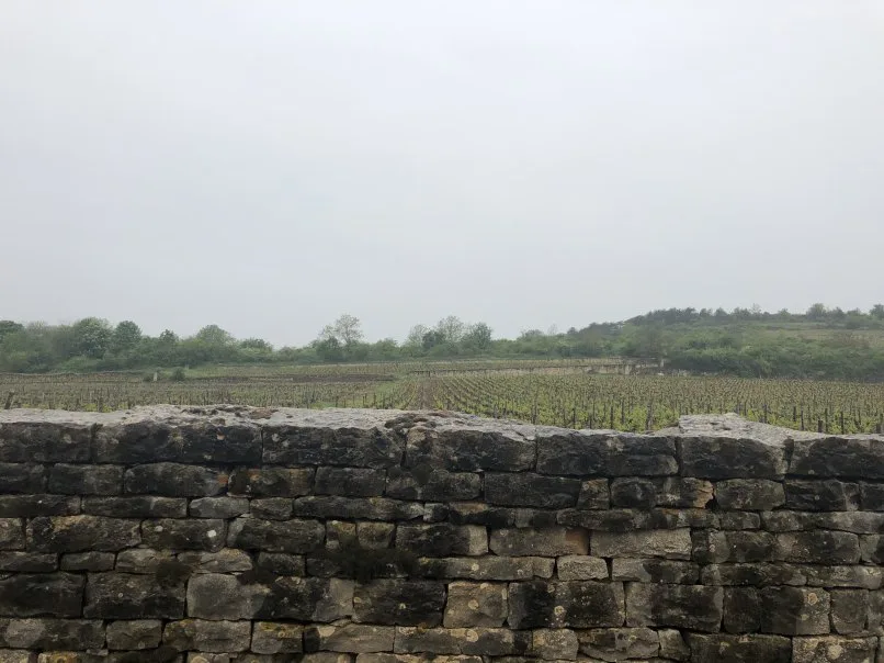 La Bécasse — photo 138