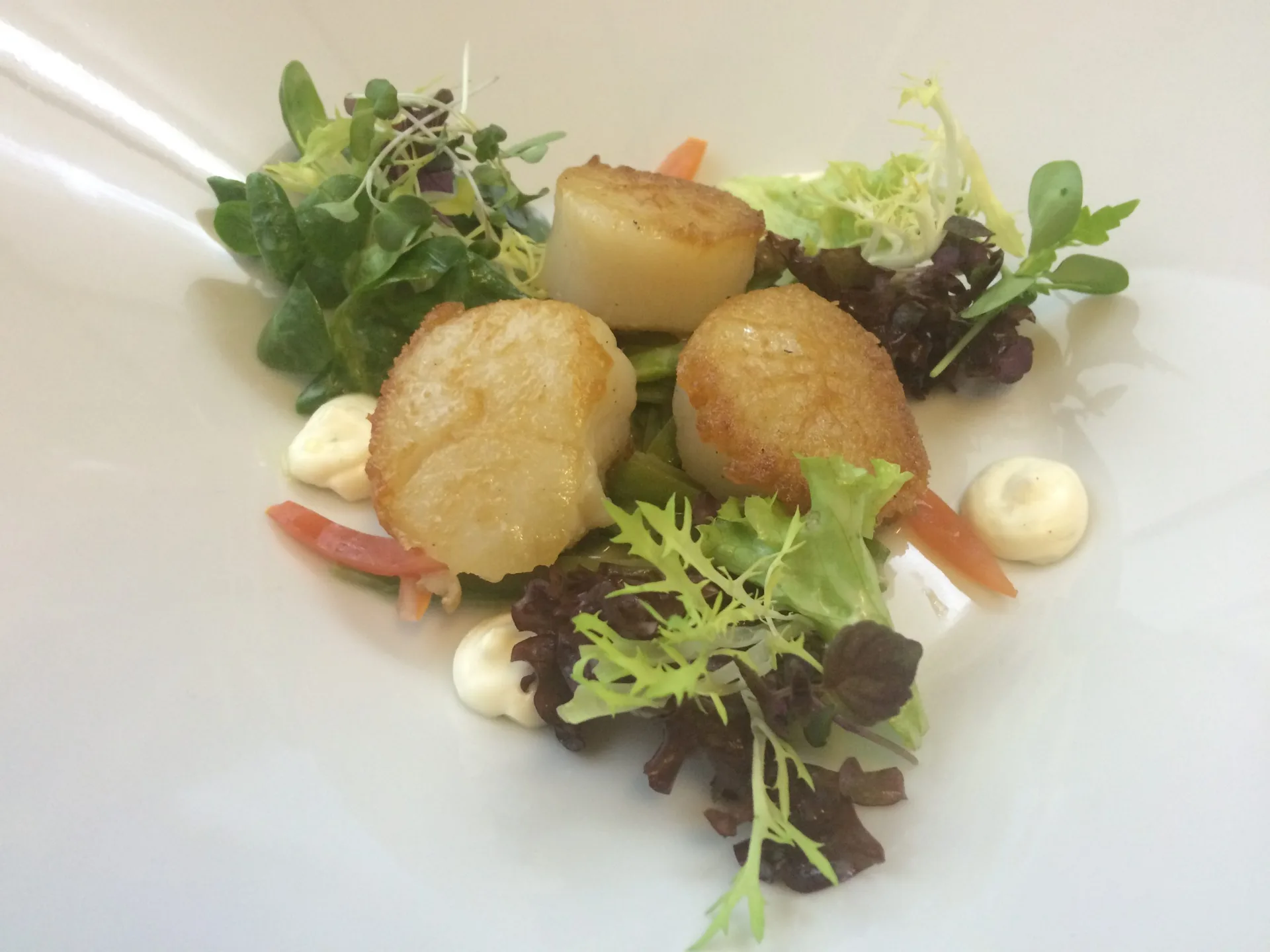 Restaurant Hessischer Hof — photo 11