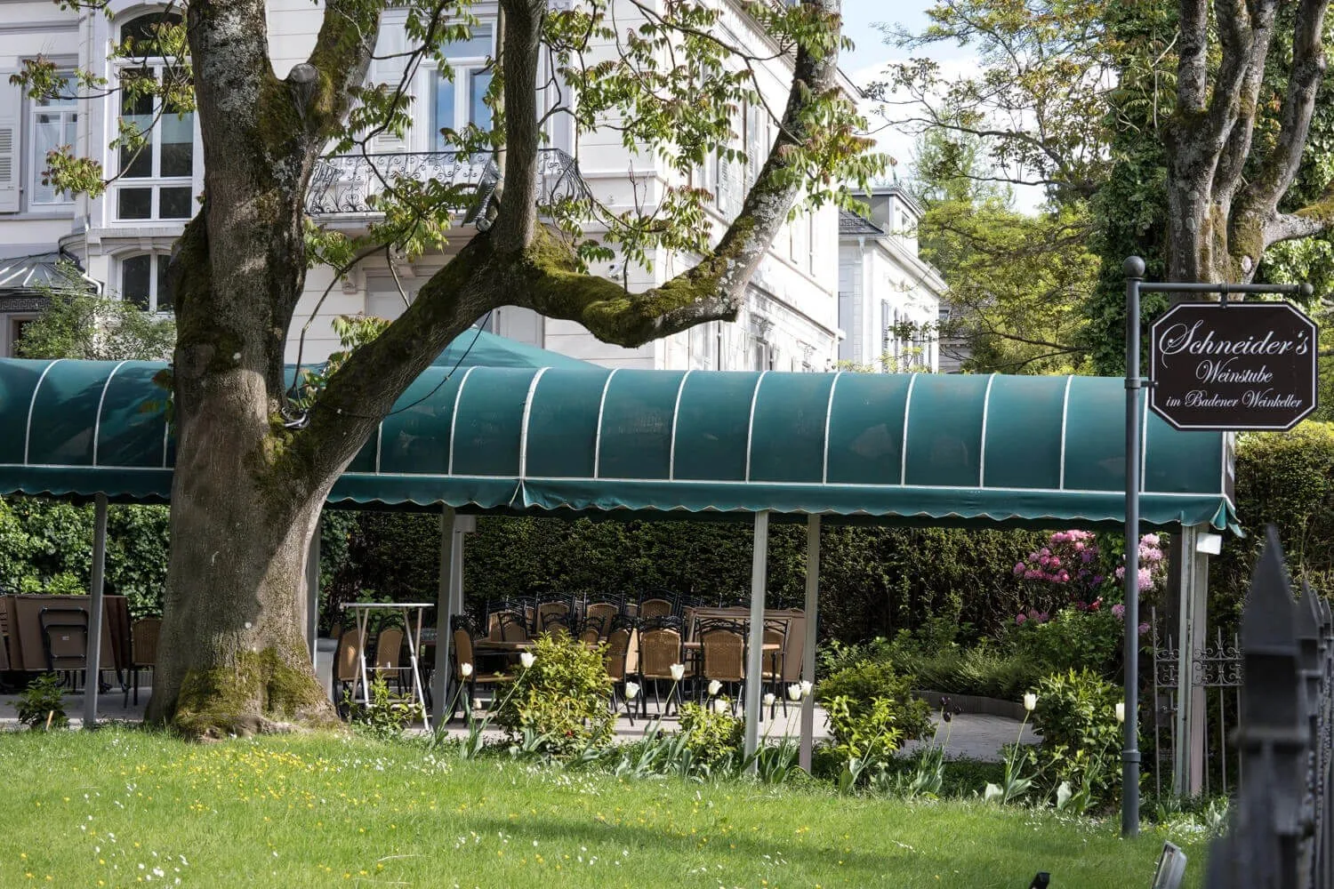 Schneider’s Weinstube im Badener Weinkeller — photo 37