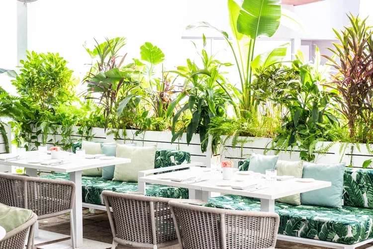 Le Jardinier Miami — photo 17