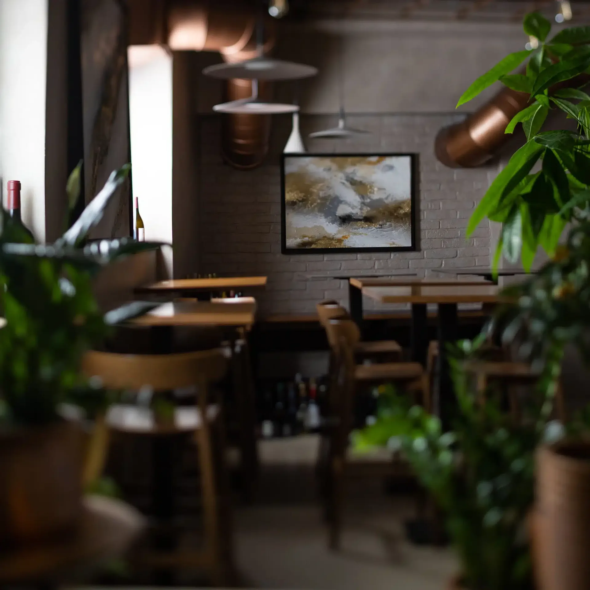 Hidden Wine Bistro — photo 5
