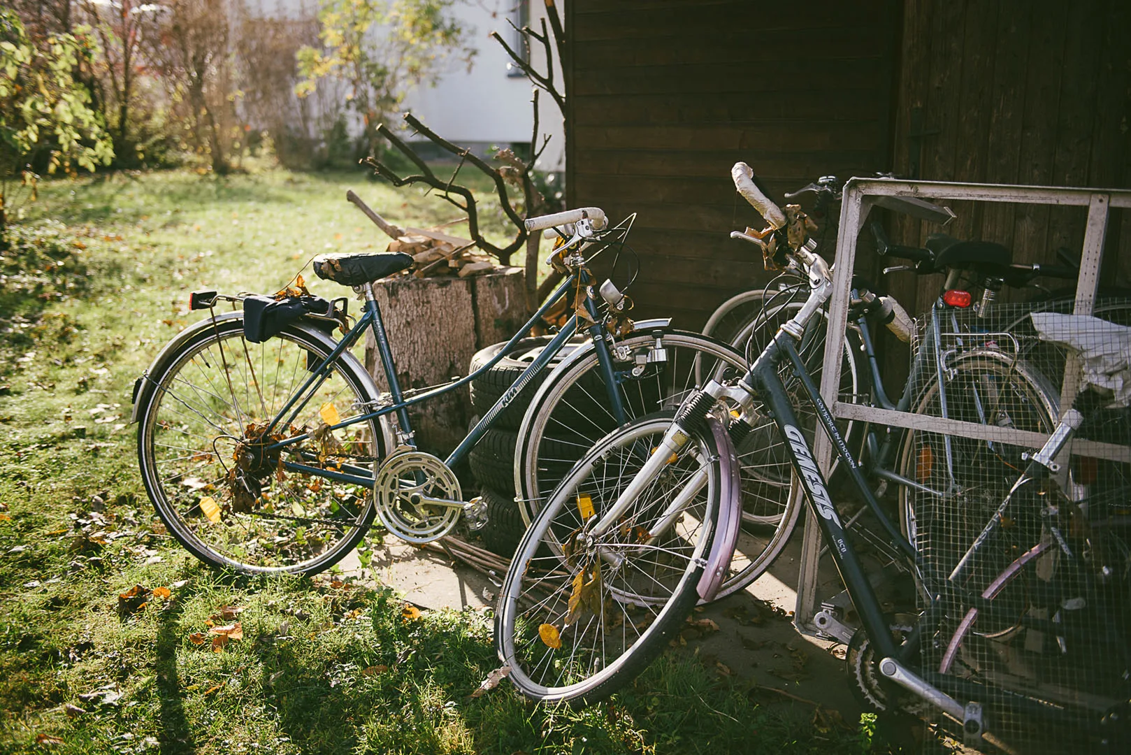 Die Schwalbe — photo 14