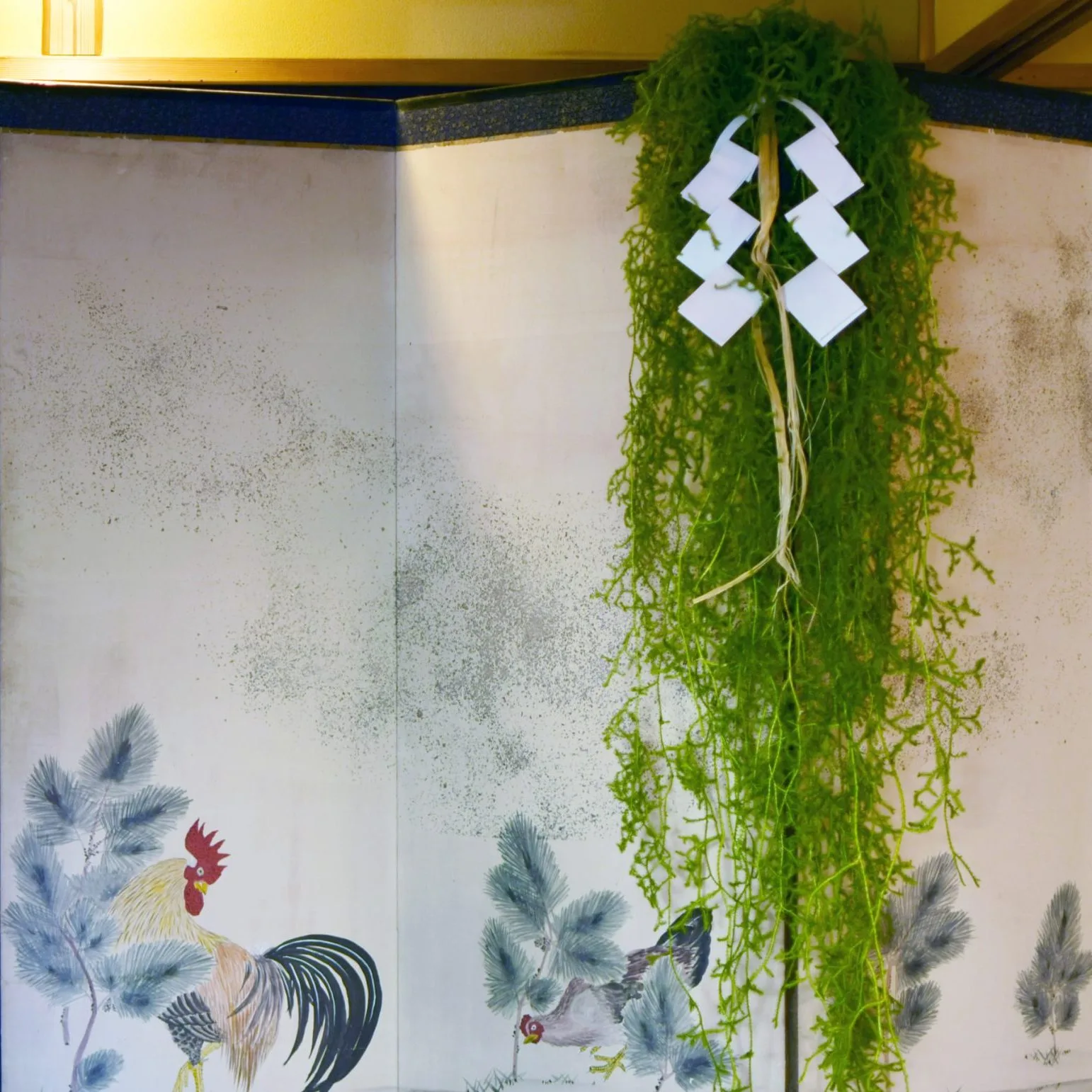 Ichirin Hanare — photo 20
