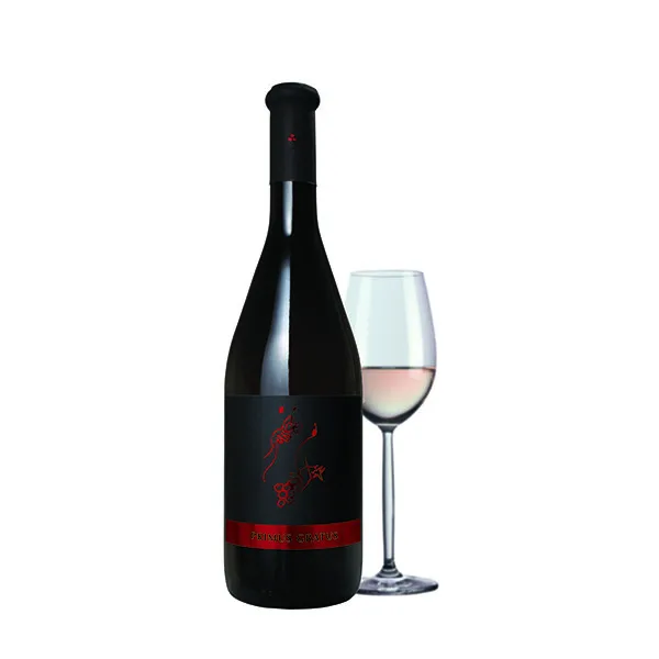 Bolfan Vinski Vrh — photo 10