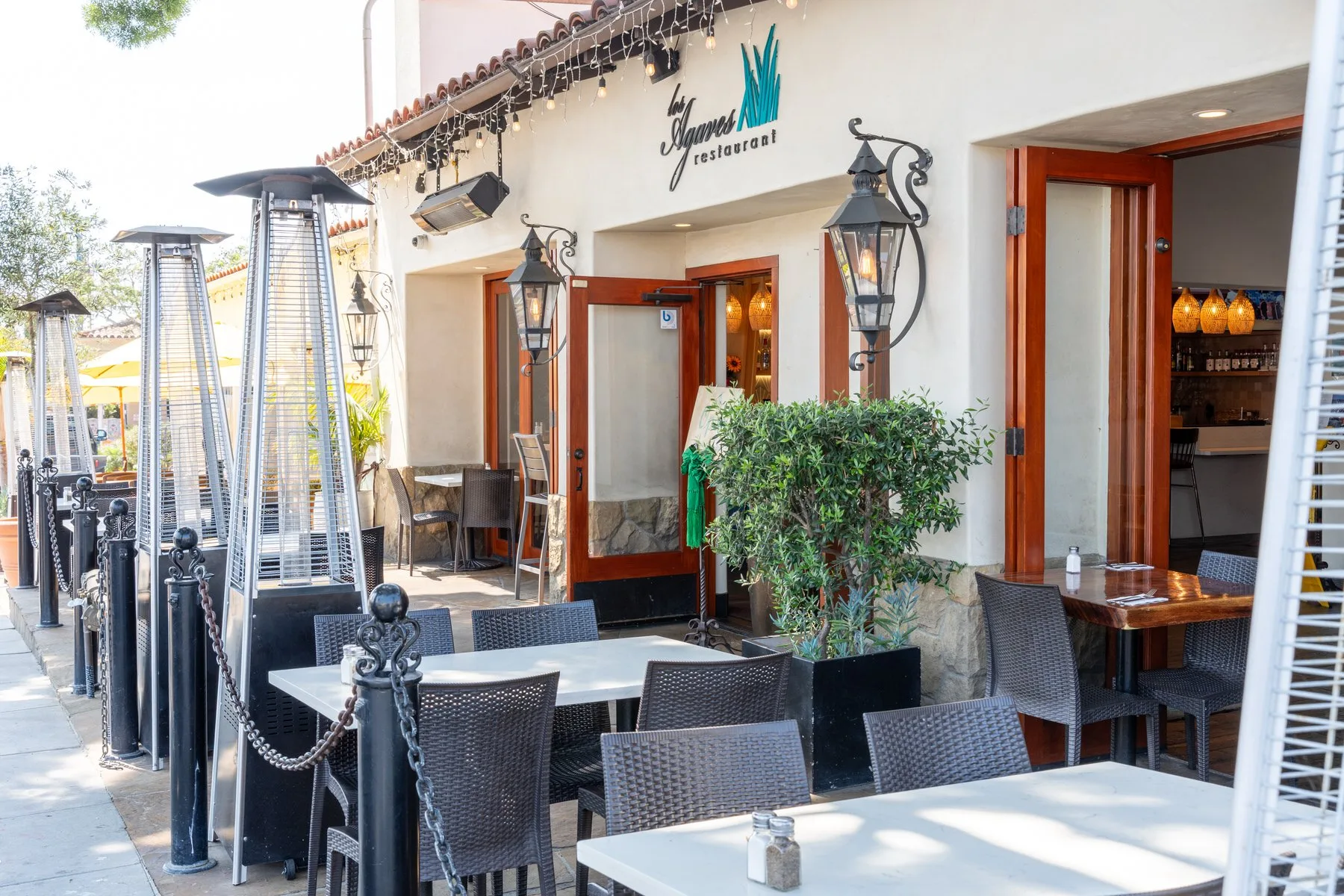 Los Agaves — photo 4
