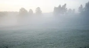 Kolm, Königswiesen
