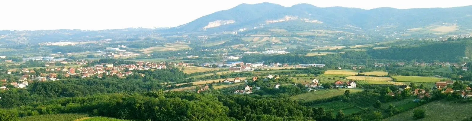 VINARIJA TARPOŠ — photo 43