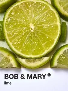 Bob &amp; Mary — photo 6