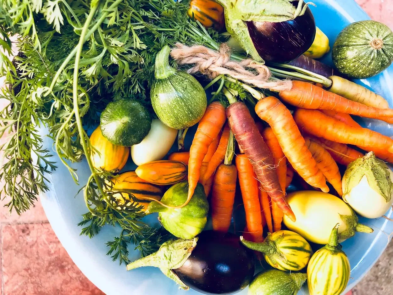 KOGO Ristorante Dal 2006 — photo 80