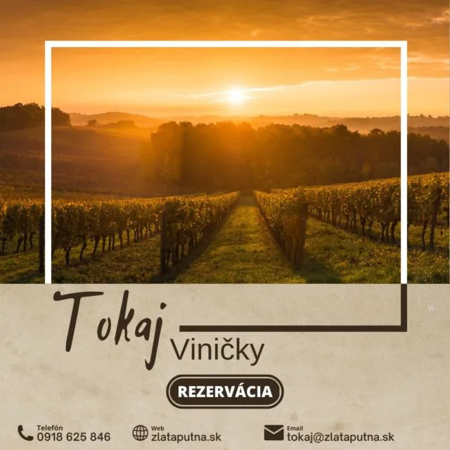 Reštaurácia Zlatá Putňa — photo 13