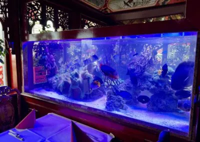 China-Restaurant Tang — photo 14
