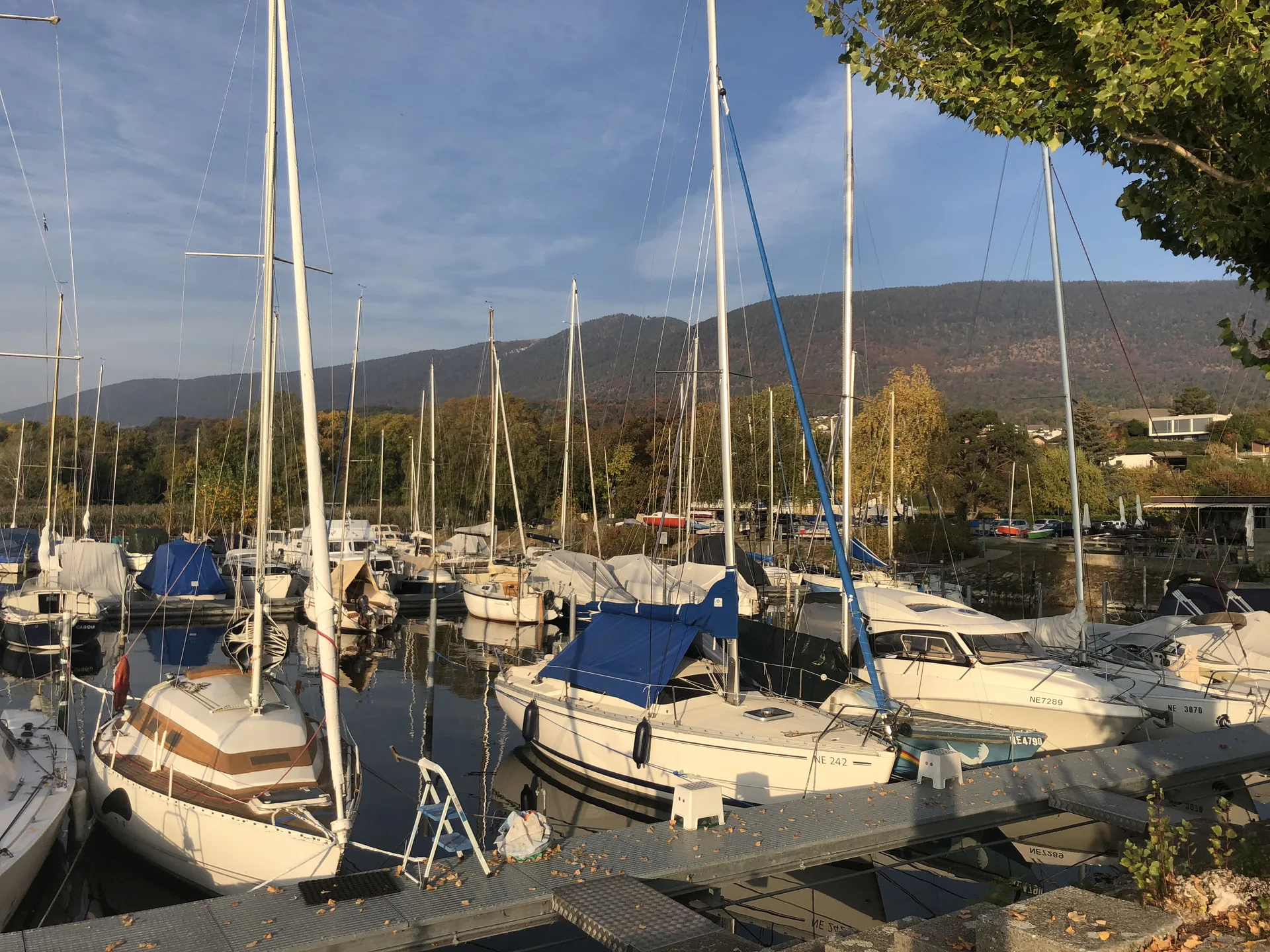 La Trinquette — photo 22