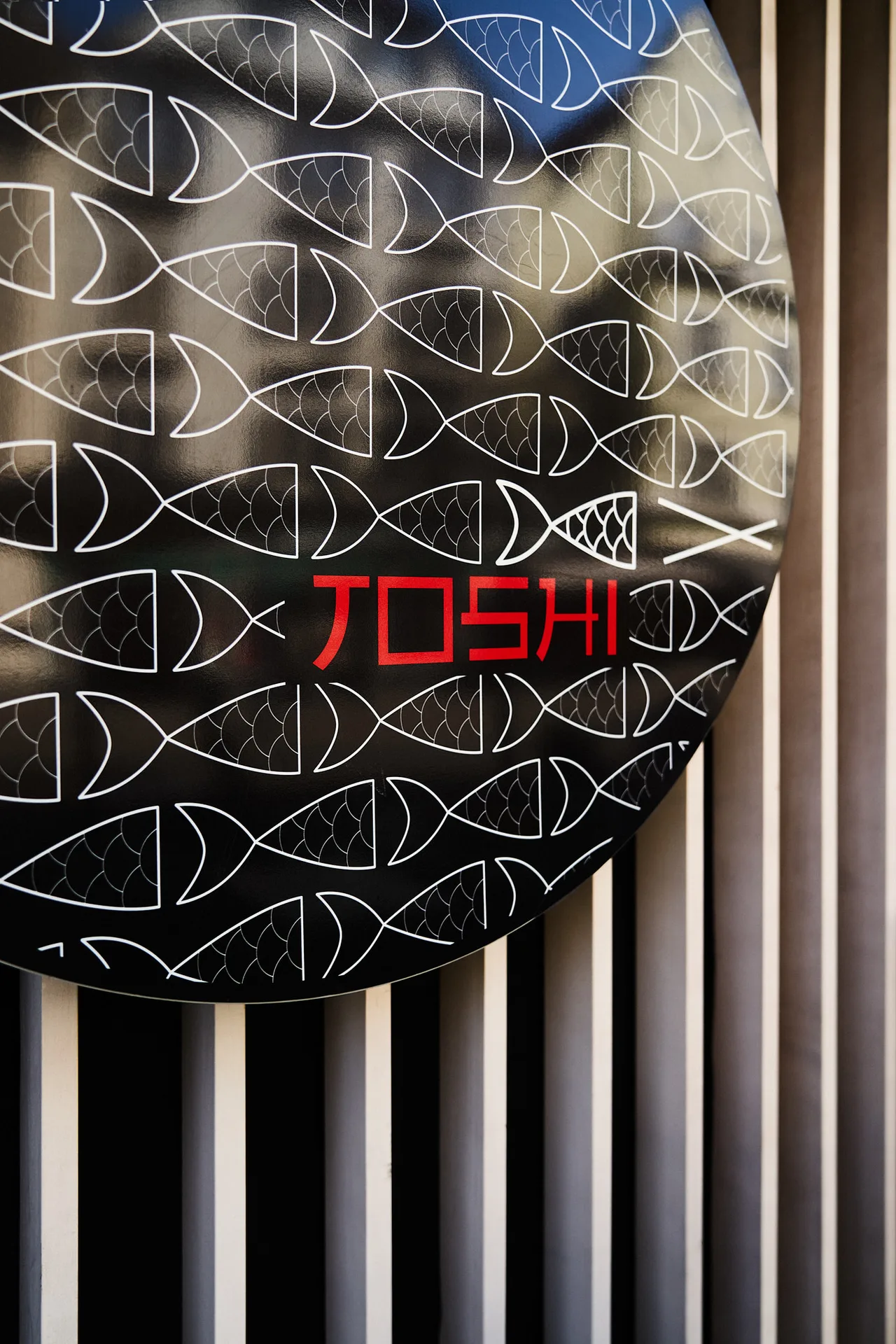 Toshi — photo 37