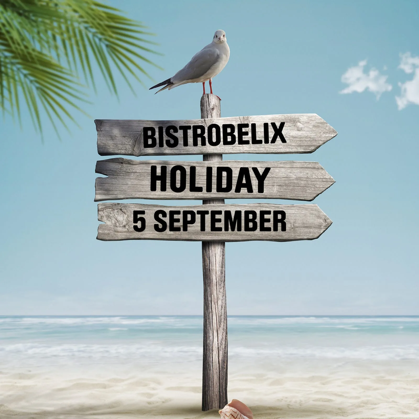Bistro Belix — photo 25