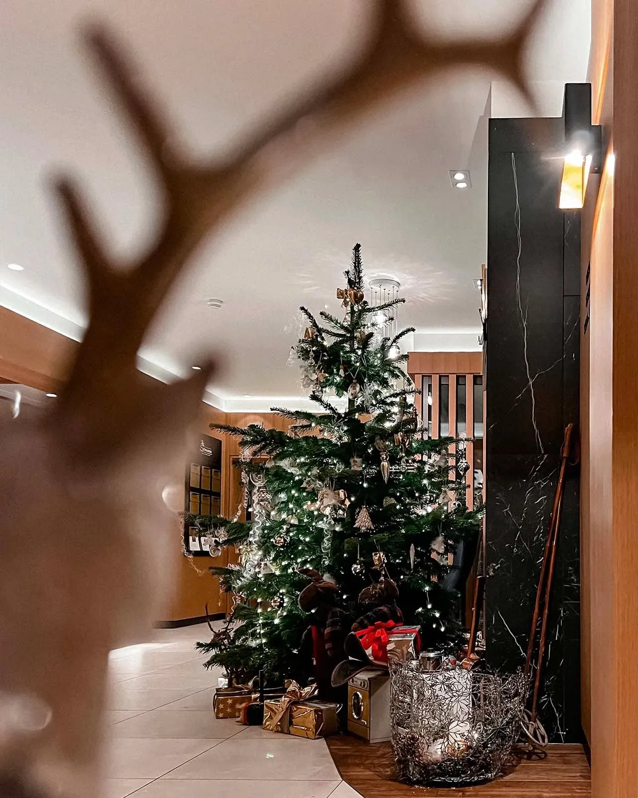 Restaurant Schwanen — photo 74