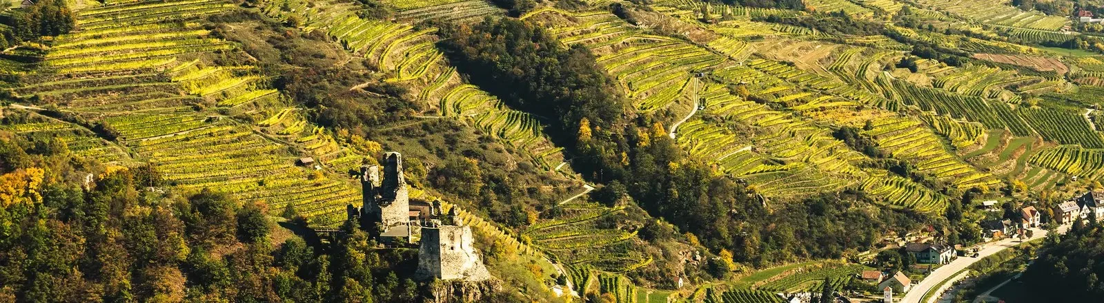 Weingut Nigl — photo 44