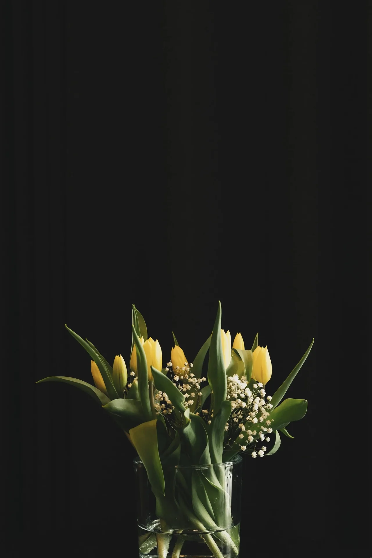 Schottis — photo 7