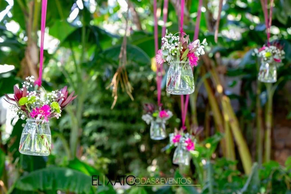 El Xato — photo 71