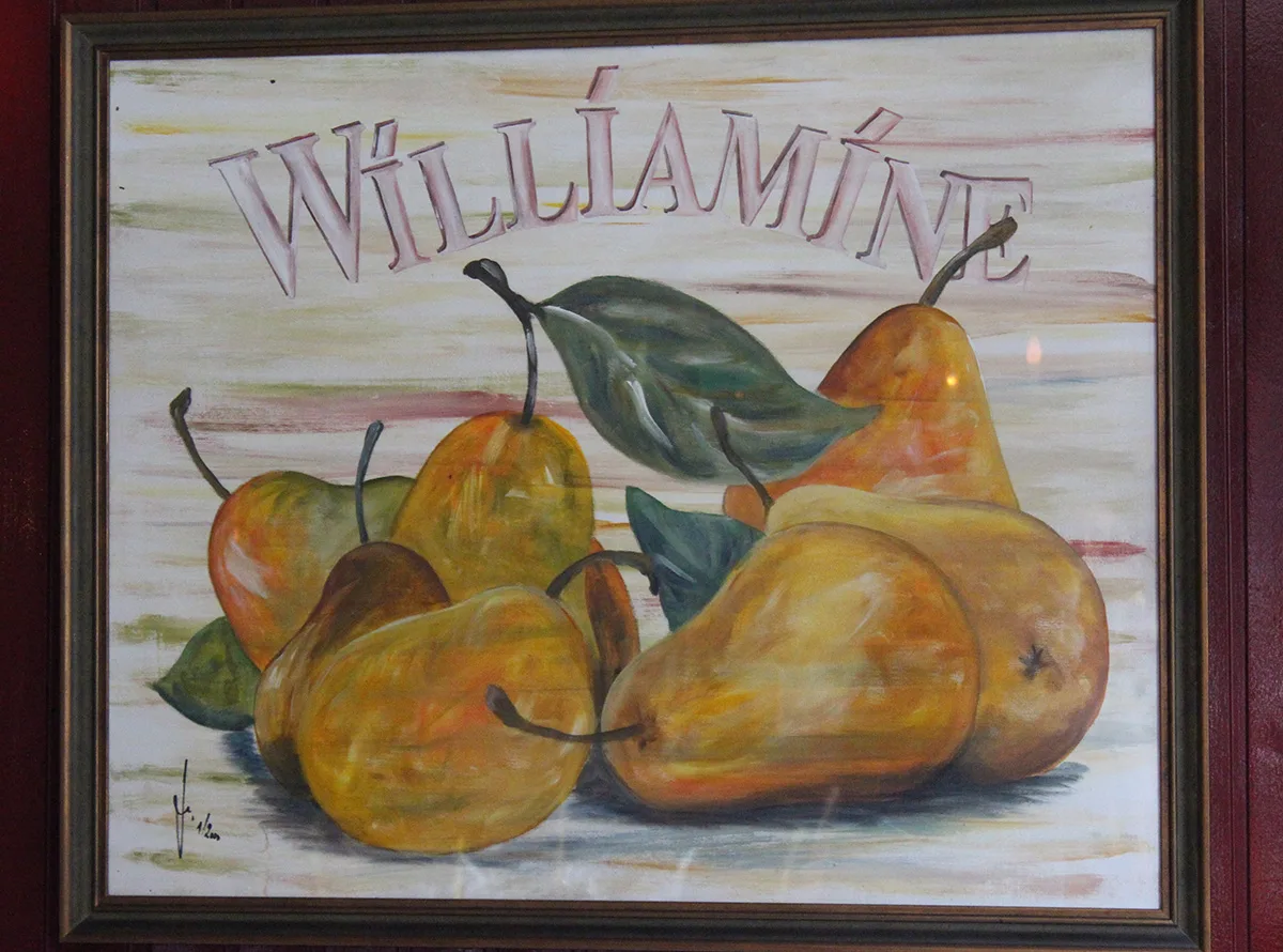 Restaurant Williamine — drink