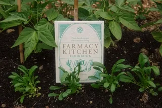 Farmacy — photo 12