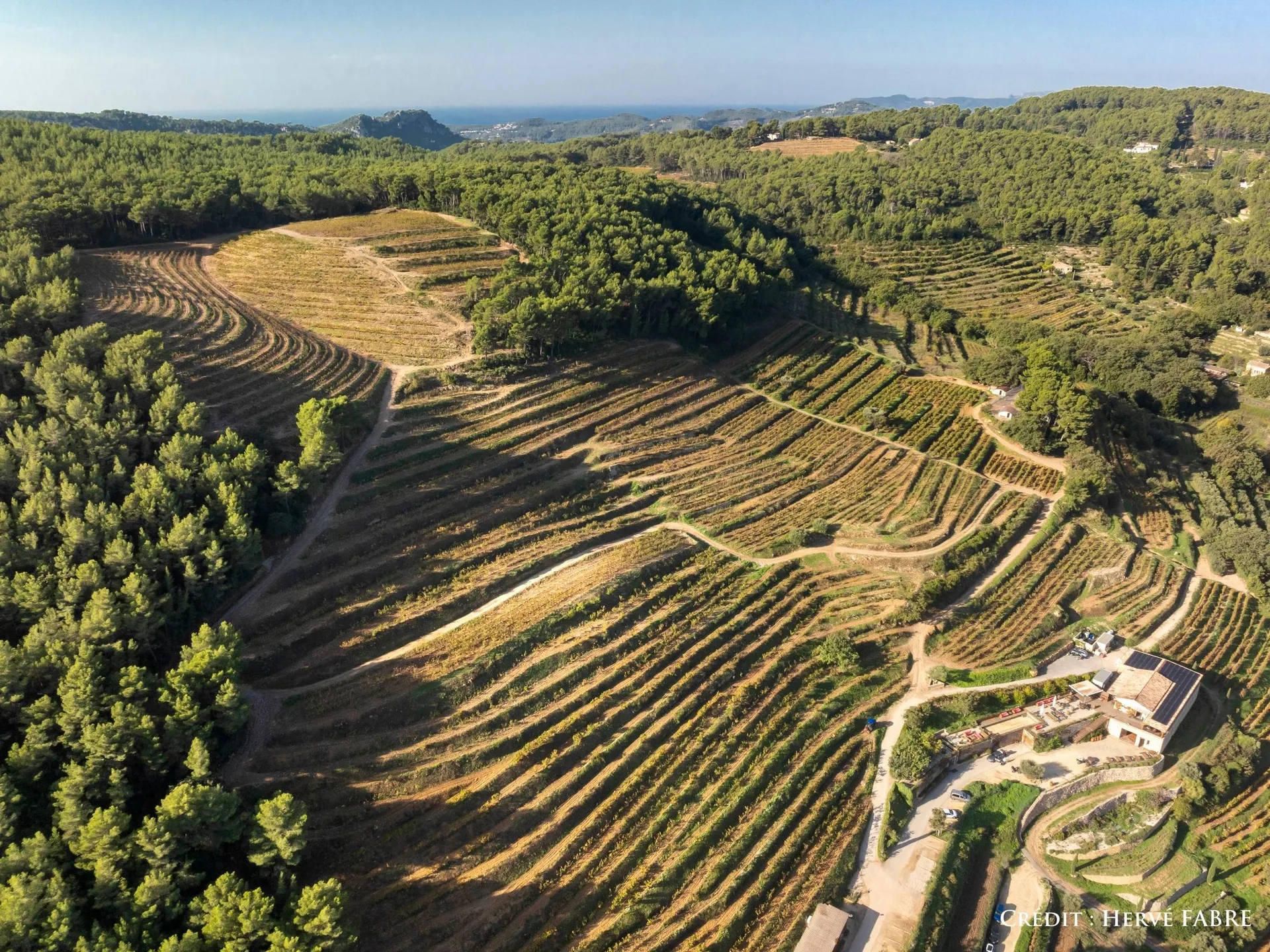La Ferme Auberge - Domaine de La Font des Pères — photo 15