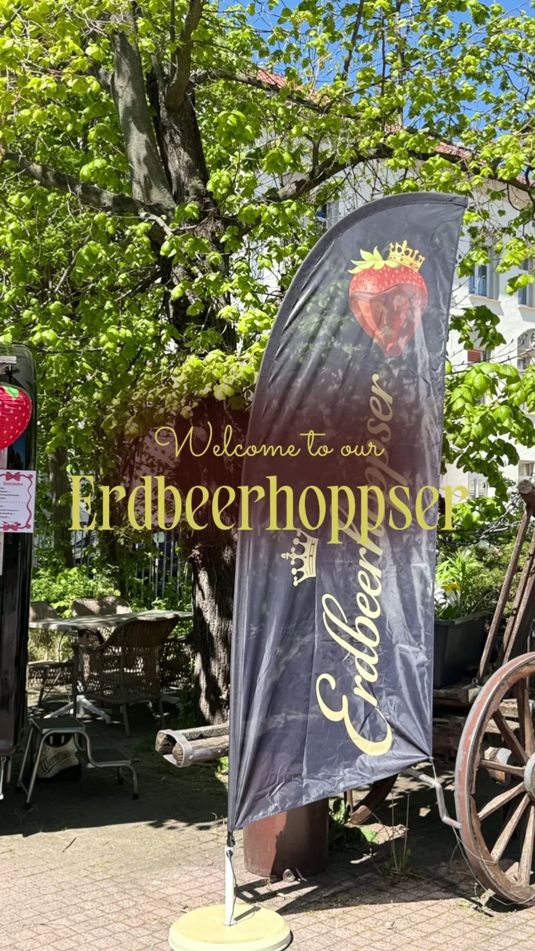 Restaurant Weißes Roß — photo 24