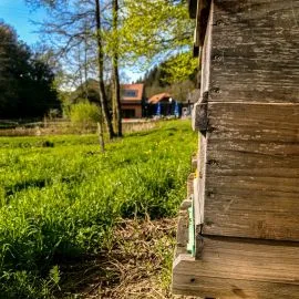 Restaurant Weihermühle — photo 9