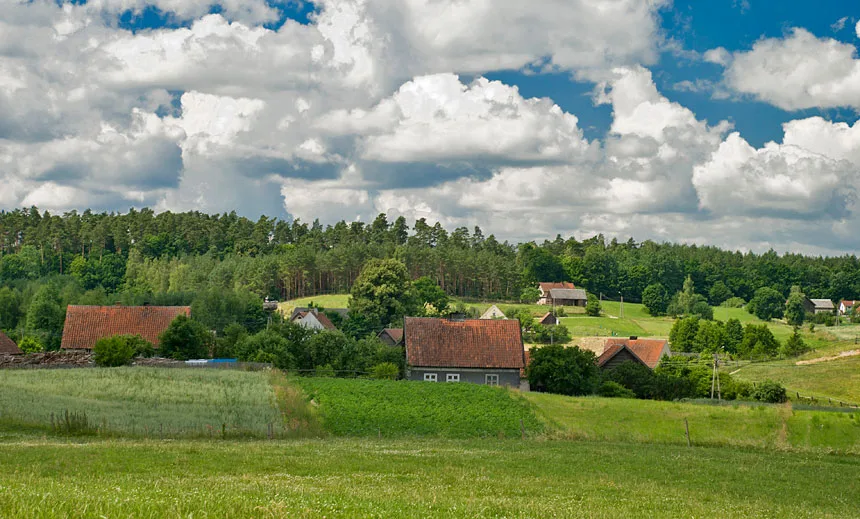 Oberża Pod Psem — photo 51