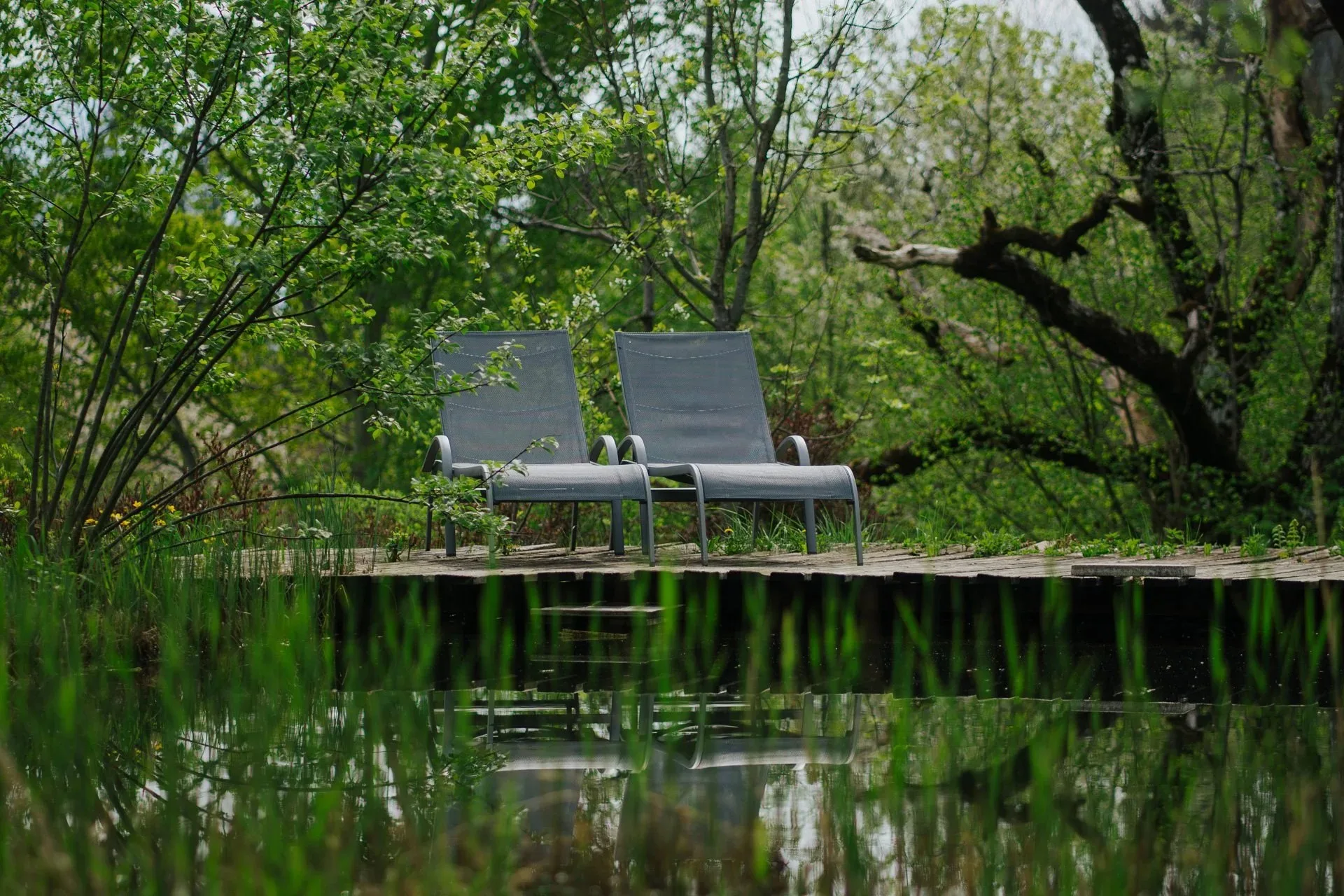 Kleinsasserhof — photo 46