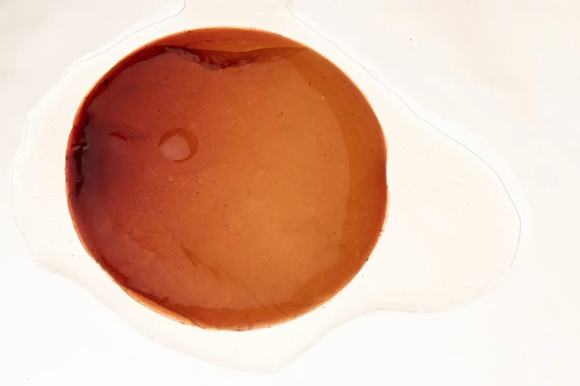 Locavore NXT — photo 13