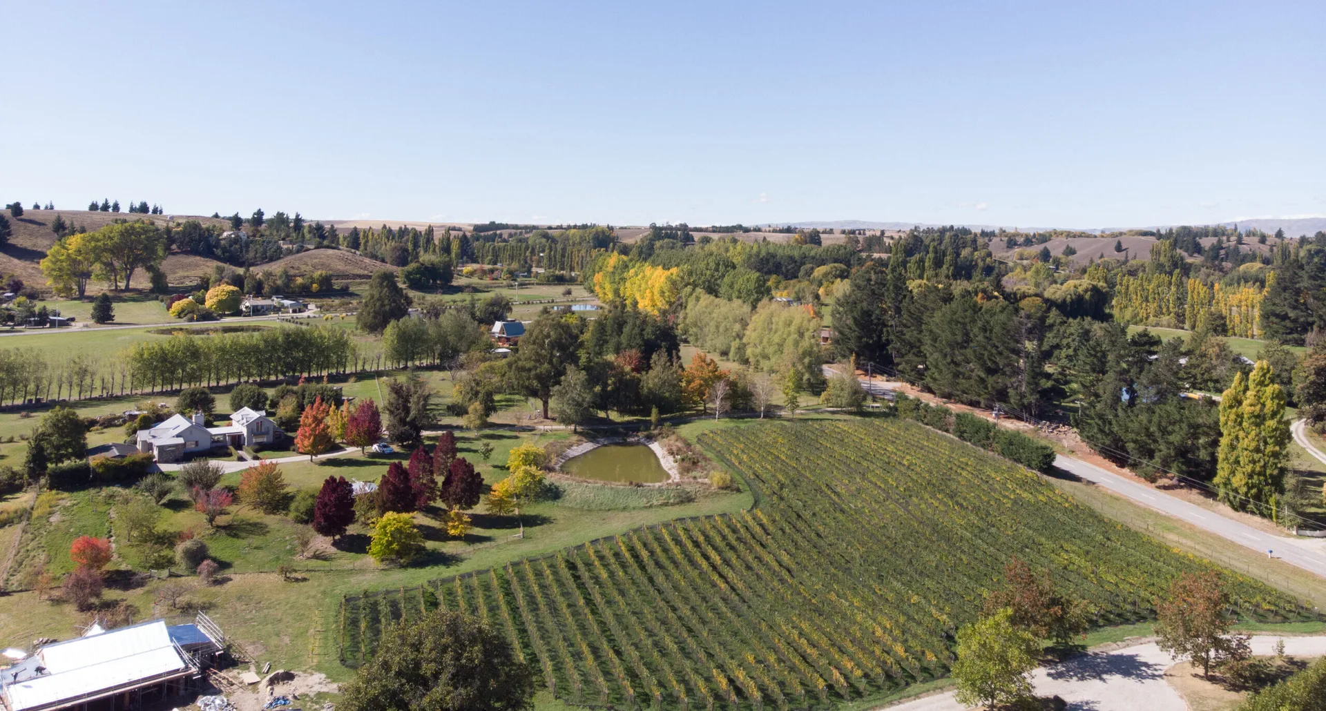 Monte Christo Winery — photo 73