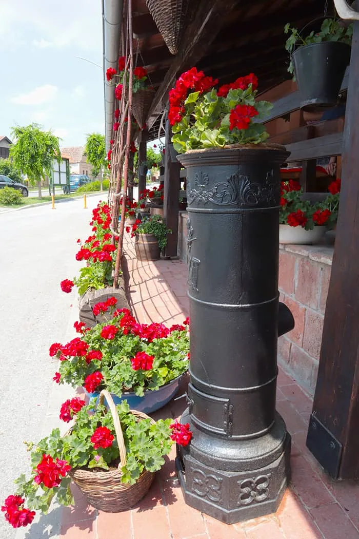 Darócz — photo 35