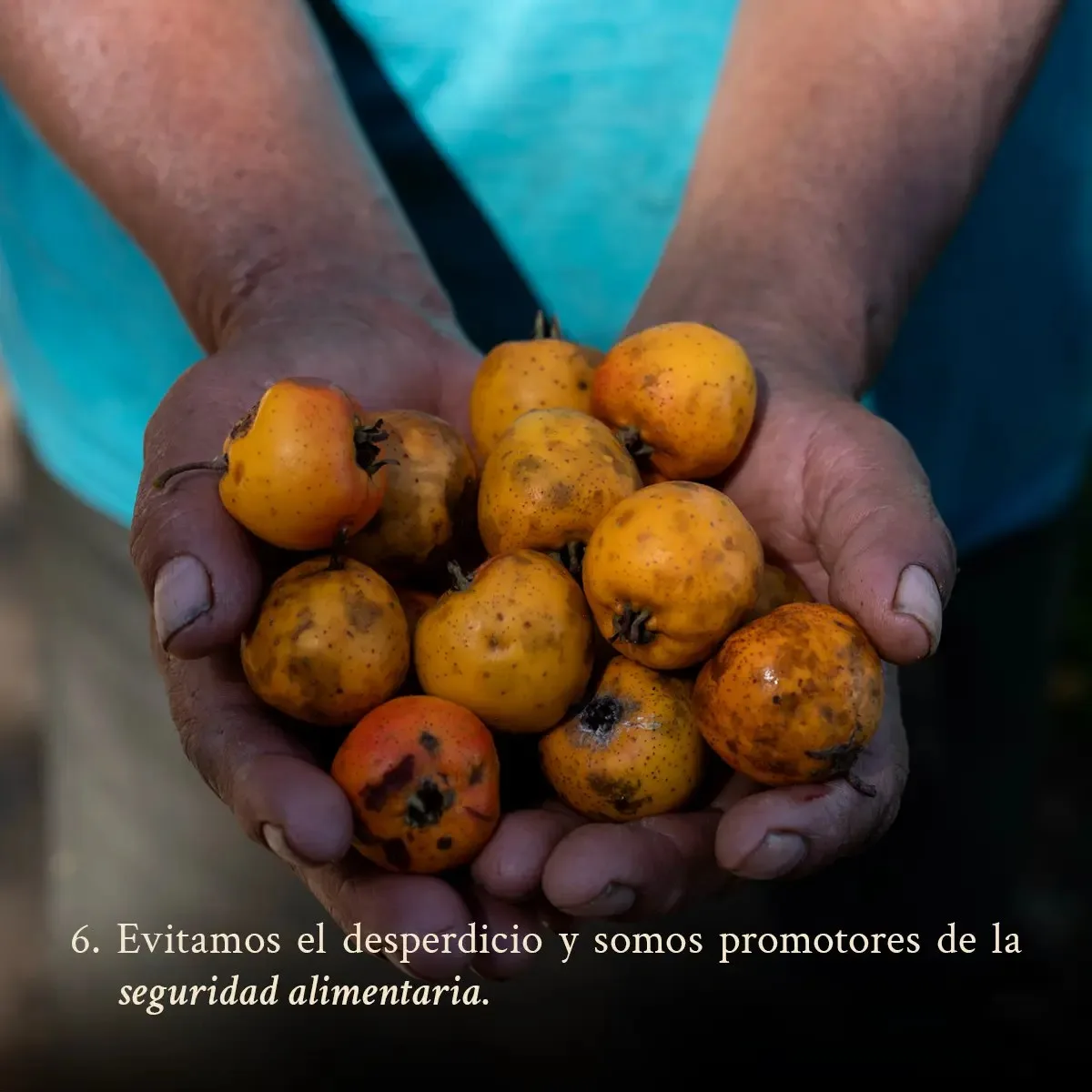 Tierra del Sol — photo 6