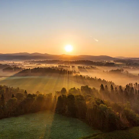 Gasthof Zum Bayerischen Wald — atmosphere