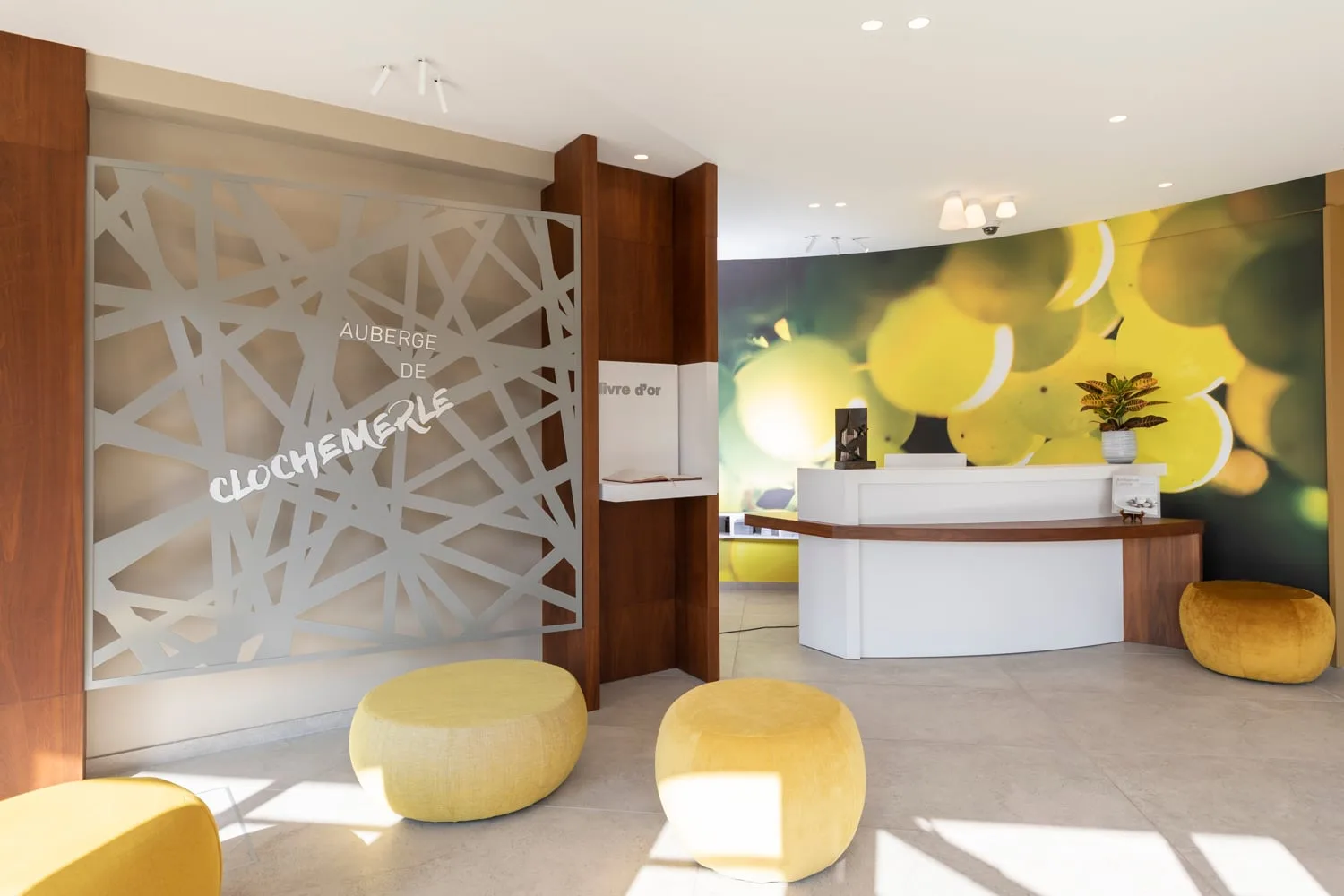 Auberge de Clochemerle — photo 13
