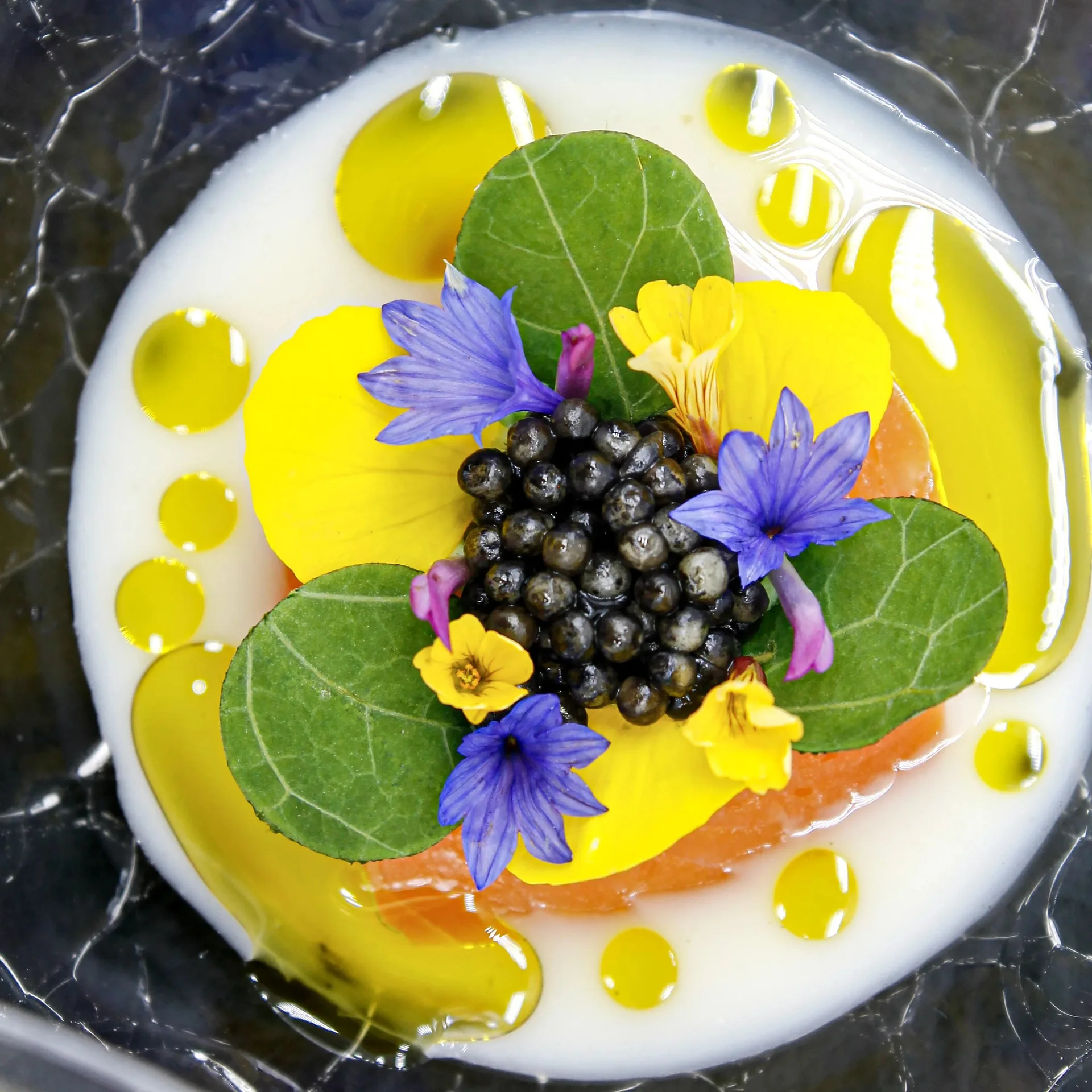 Restaurant Papilio — photo 61