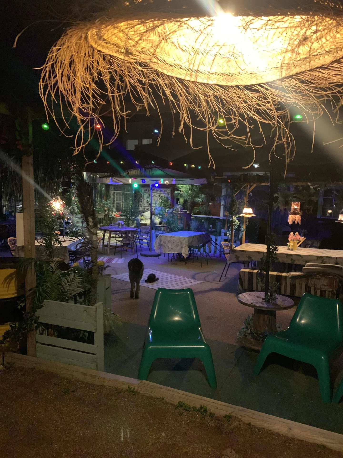 Bistro apan — photo 33