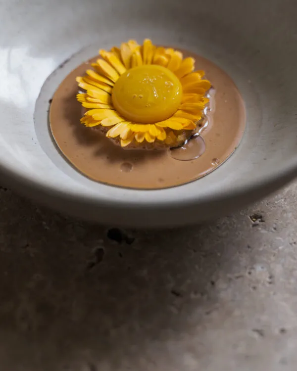 Hertog Jan at Botanic — photo 9