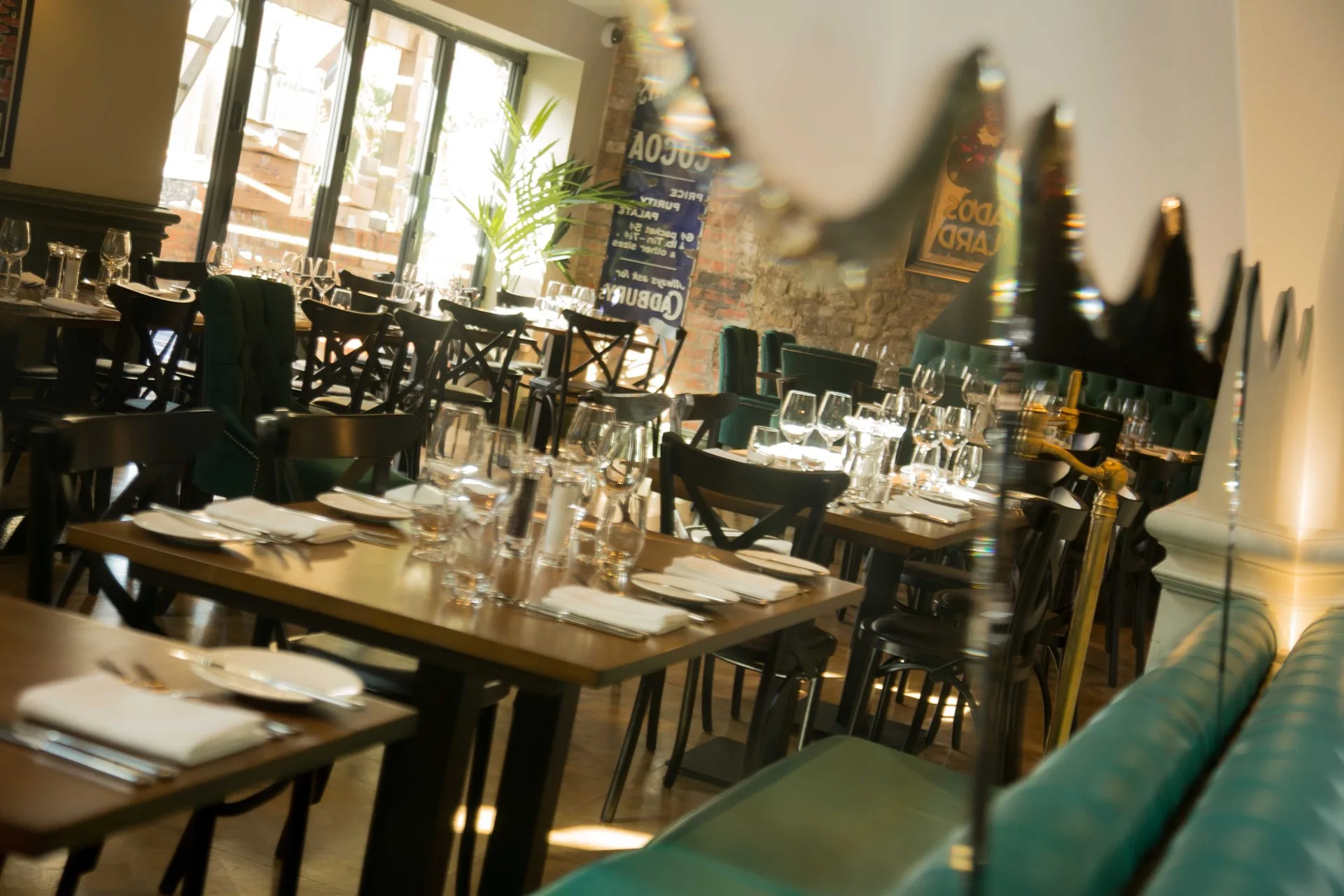 The Impeccable Pig — photo 13