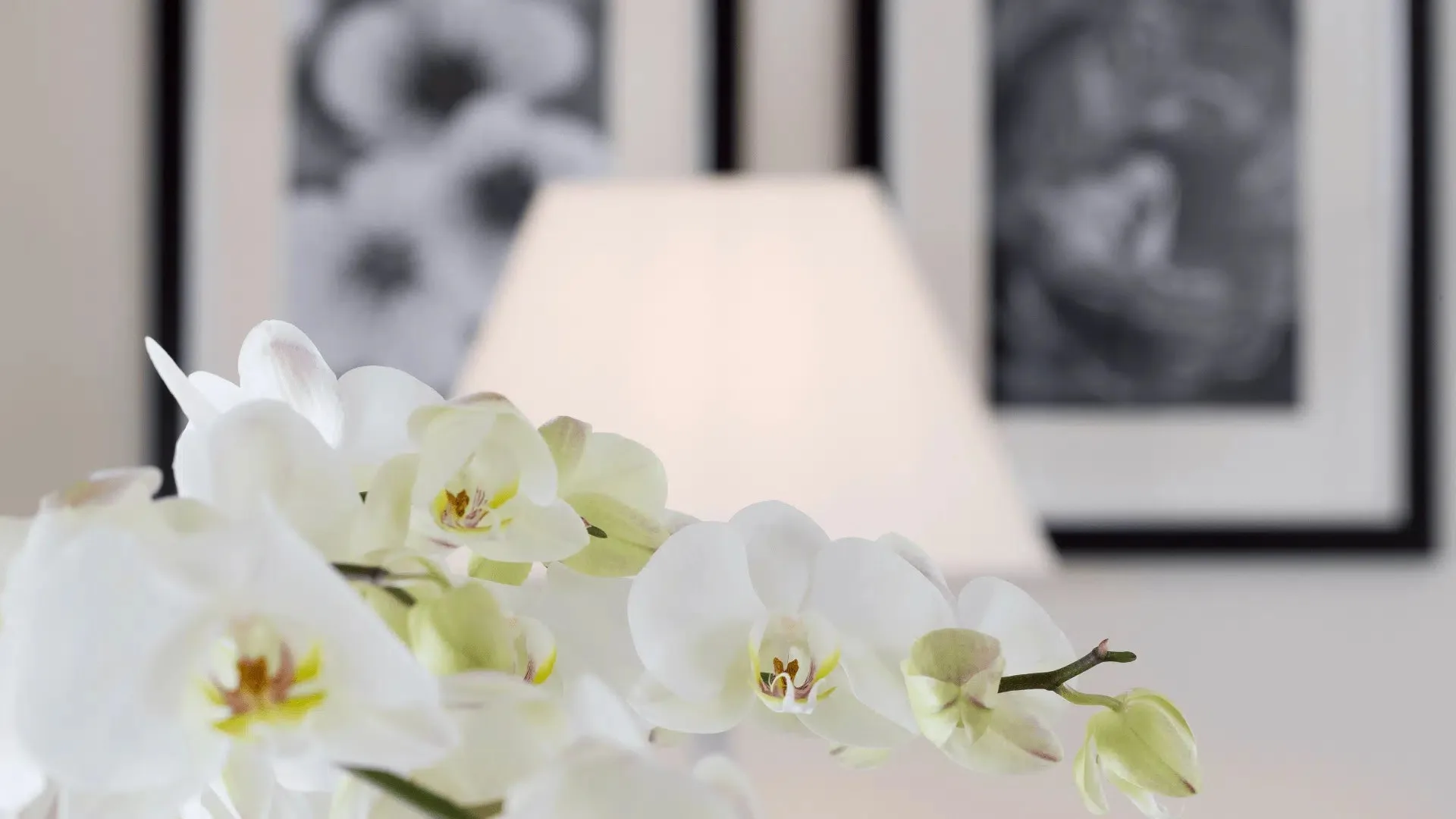 Park Hotel Sonnenhof — photo 10