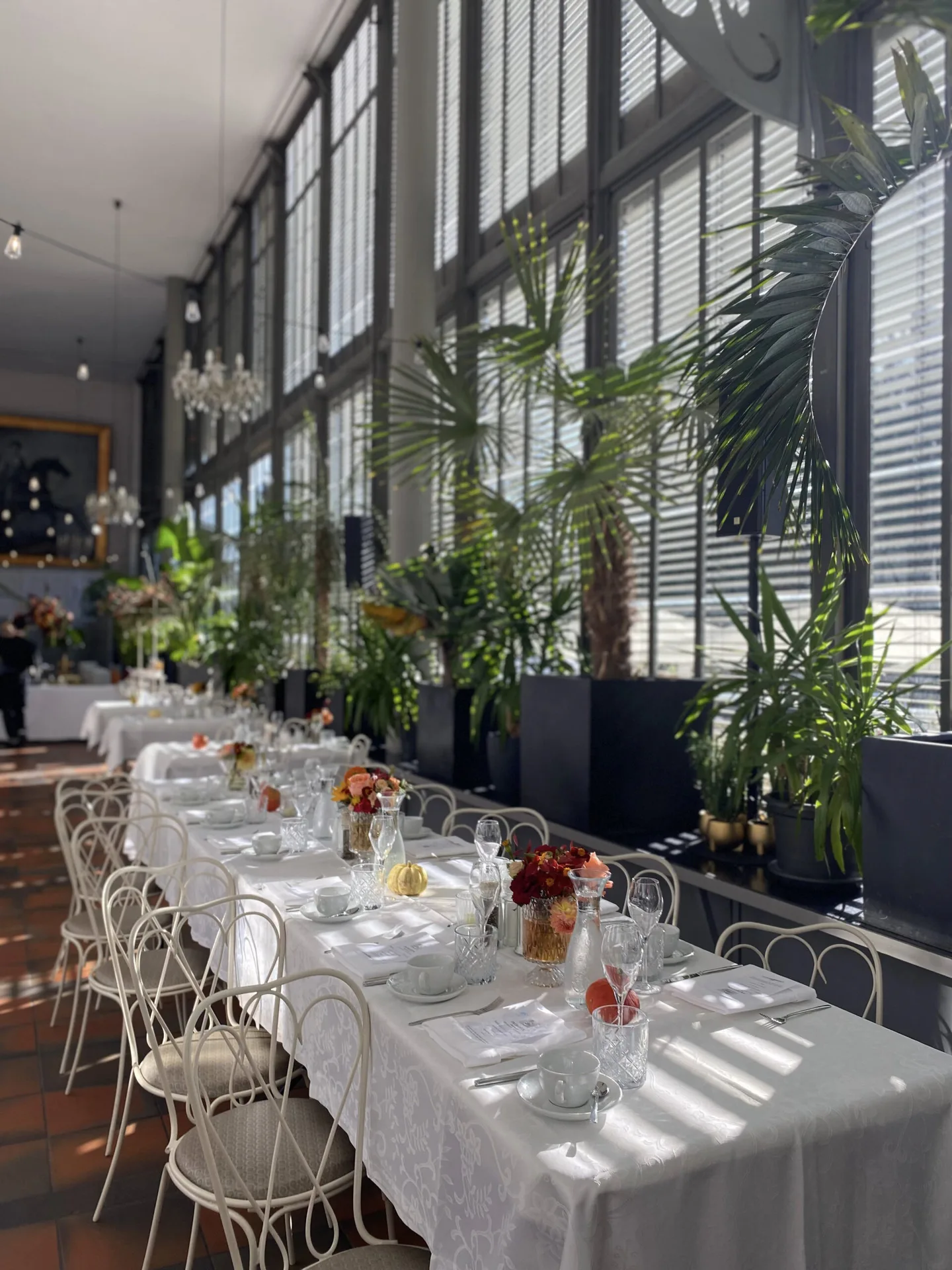 Schlosscafé im Palmenhaus — photo 96