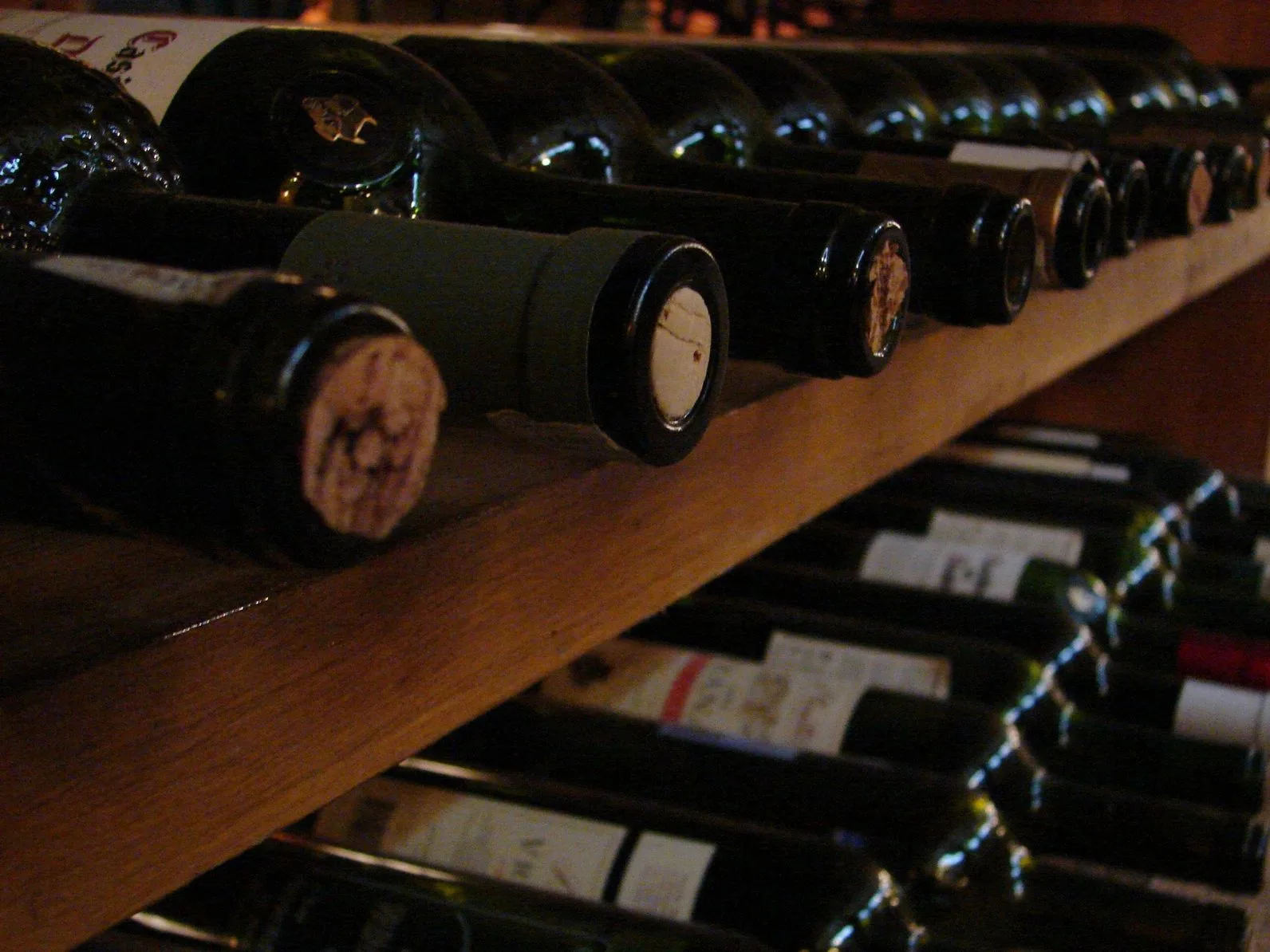 Tucci's — photo 27