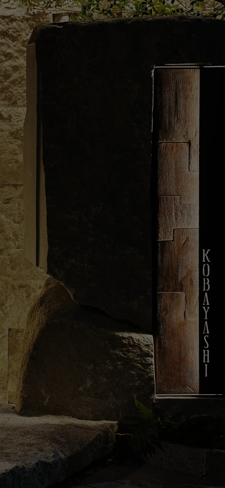 KOBAYASHI — photo 14