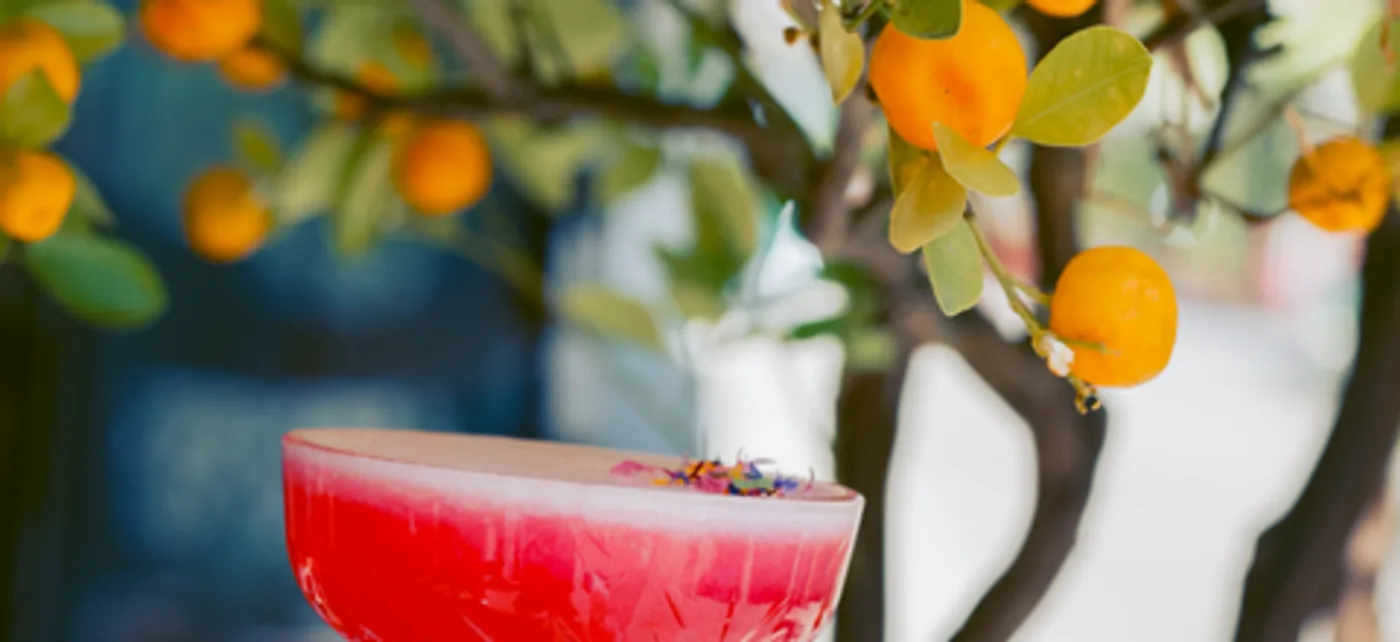 Boléro Bistro — drink